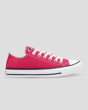 Women's Converse Chuck Taylor All Star Seasonal Colour Low Tops Shoes Pink | CV-328FUQ