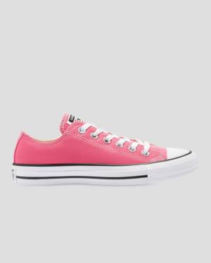 Women's Converse Chuck Taylor All Star Seasonal Colour Low Tops Shoes Pink | CV-713FNW