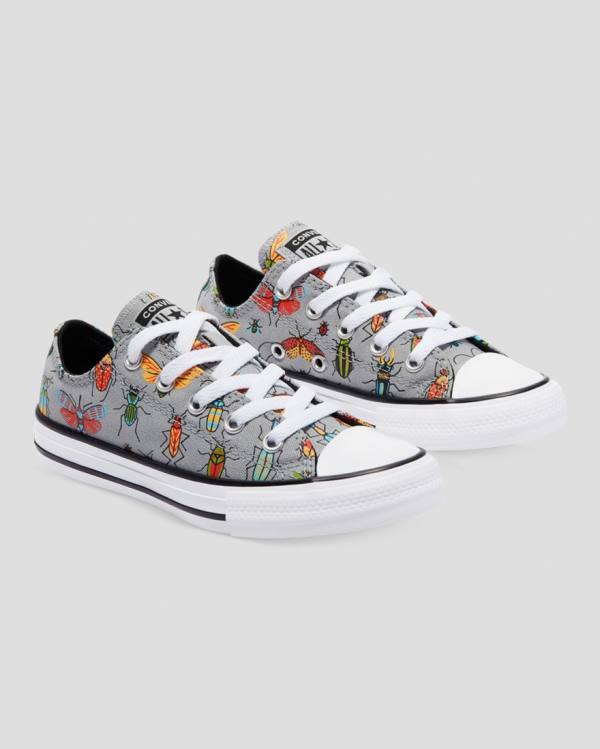 Kids' Converse Chuck Taylor All Star Bugged Out Low Tops Shoes Grey | CV-701ONU