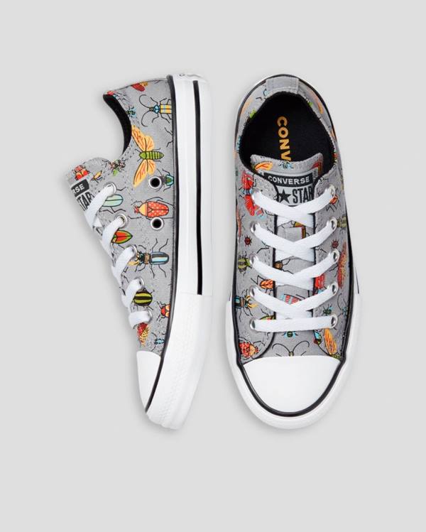 Kids' Converse Chuck Taylor All Star Bugged Out Low Tops Shoes Grey | CV-701ONU