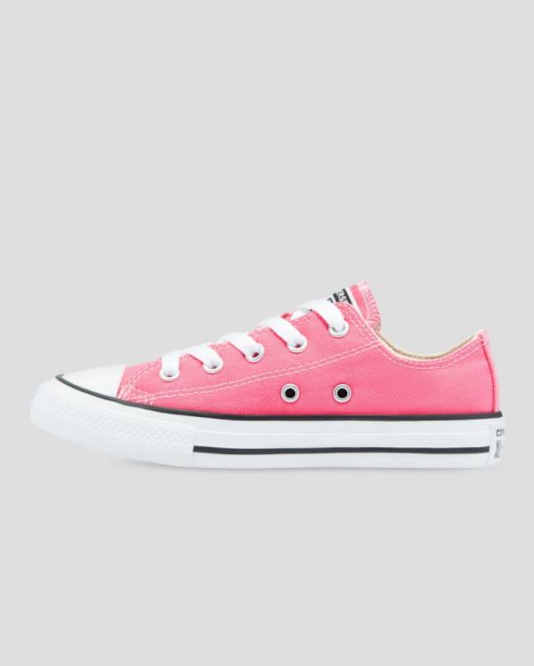 Kids' Converse Chuck Taylor All Star Seasonal Colour Low Tops Shoes Pink | CV-153XQW