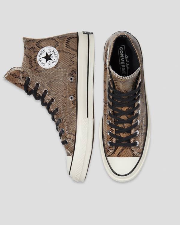 Men's Converse Chuck 70 Reptile Suede High Tops Shoes Brown | CV-165WNL