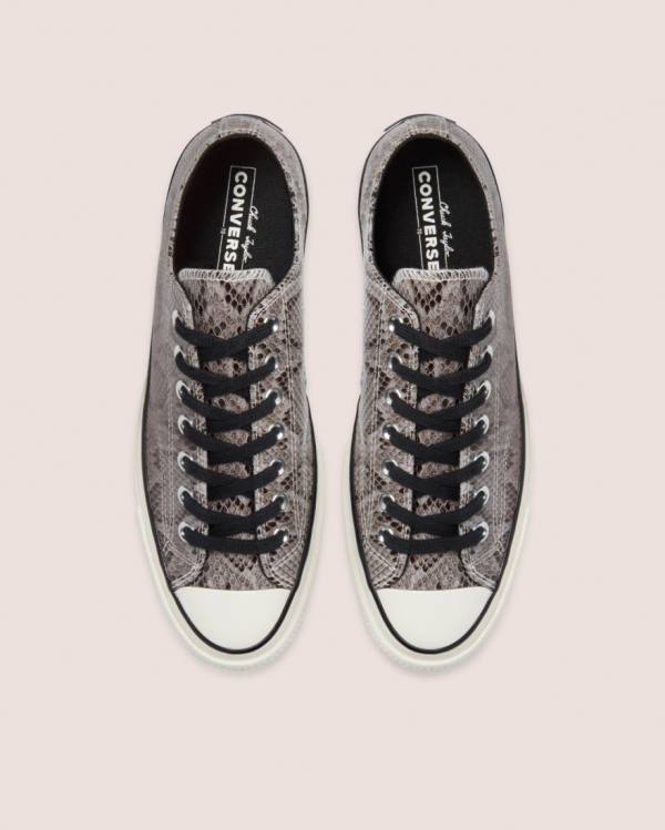 Men's Converse Chuck 70 Reptile Suede Low Tops Shoes Grey | CV-790LPZ