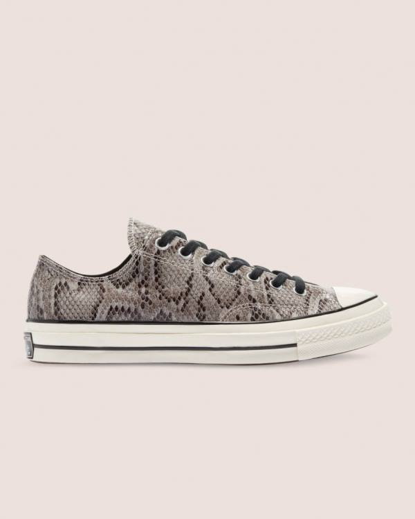 Men\'s Converse Chuck 70 Reptile Suede Low Tops Shoes Grey | CV-790LPZ