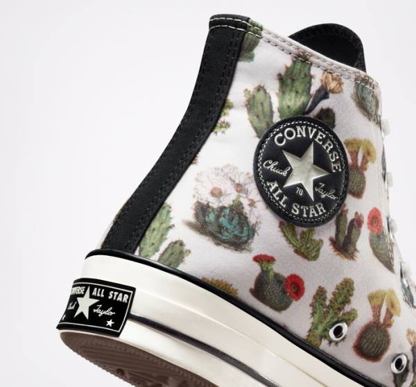 Men's Converse Chuck 70 Succulents High Tops Shoes Black | CV-123ASG