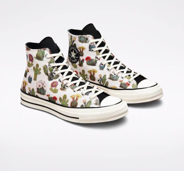 Men's Converse Chuck 70 Succulents High Tops Shoes Black | CV-123ASG