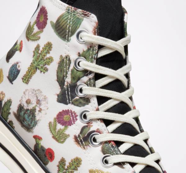 Men's Converse Chuck 70 Succulents High Tops Shoes Black | CV-123ASG