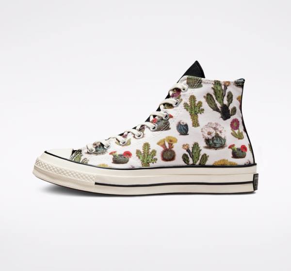 Men's Converse Chuck 70 Succulents High Tops Shoes Black | CV-576TLC