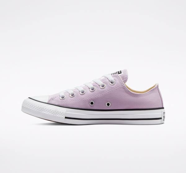 Men's Converse Chuck Taylor All Star Seasonal Color Low Tops Shoes Lavender | CV-165OAT