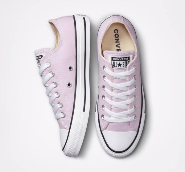 Men's Converse Chuck Taylor All Star Seasonal Color Low Tops Shoes Lavender | CV-165OAT