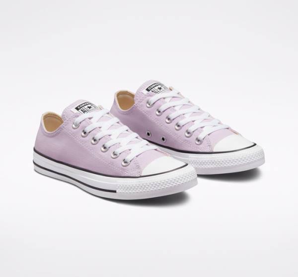 Men's Converse Chuck Taylor All Star Seasonal Color Low Tops Shoes Lavender | CV-165OAT