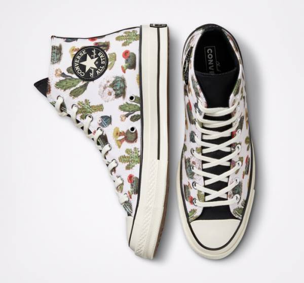 Women's Converse Chuck 70 Succulents High Tops Shoes Black | CV-491KHT