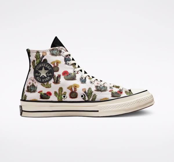 Women\'s Converse Chuck 70 Succulents High Tops Shoes Black | CV-491KHT