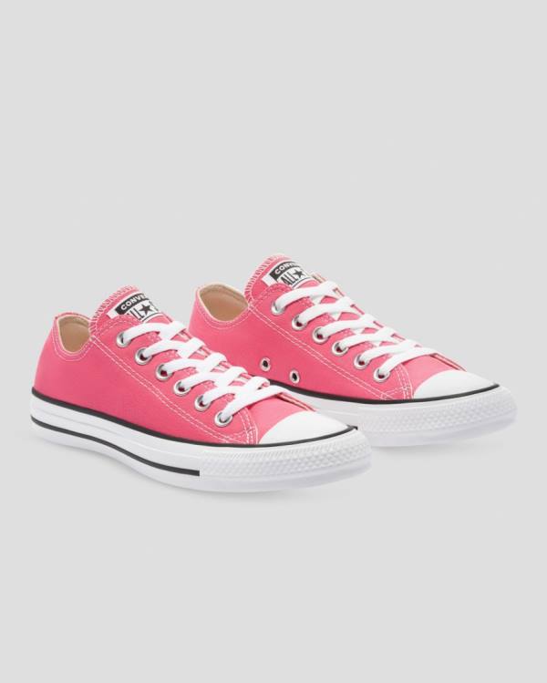 Women's Converse Chuck Taylor All Star Seasonal Colour Low Tops Shoes Pink | CV-713FNW