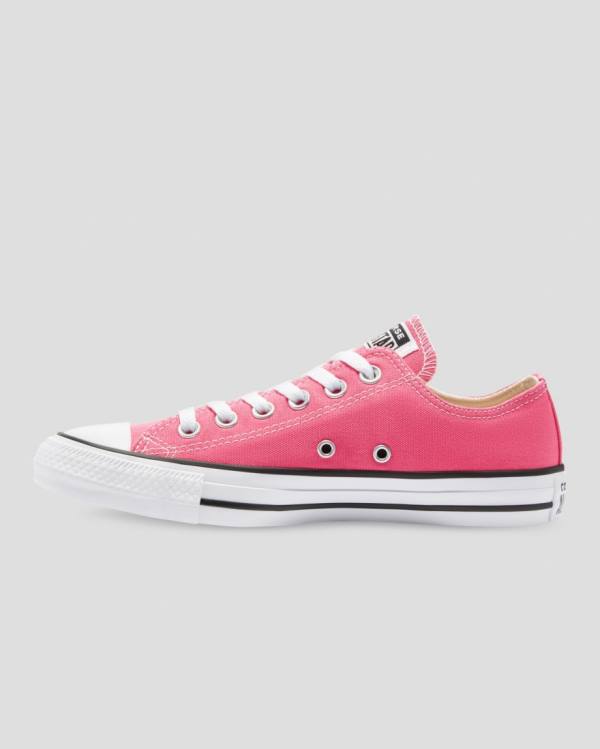 Women's Converse Chuck Taylor All Star Seasonal Colour Low Tops Shoes Pink | CV-713FNW