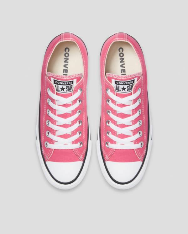 Women's Converse Chuck Taylor All Star Seasonal Colour Low Tops Shoes Pink | CV-713FNW